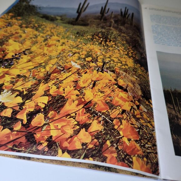 Arizona Highways December 1972 Holiday Seasons Greetings Christmas Snow Cactus - Picture 14 of 15